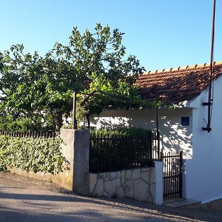 Luminaria Solis Vacation Home Rogoznica  Buitenkant foto